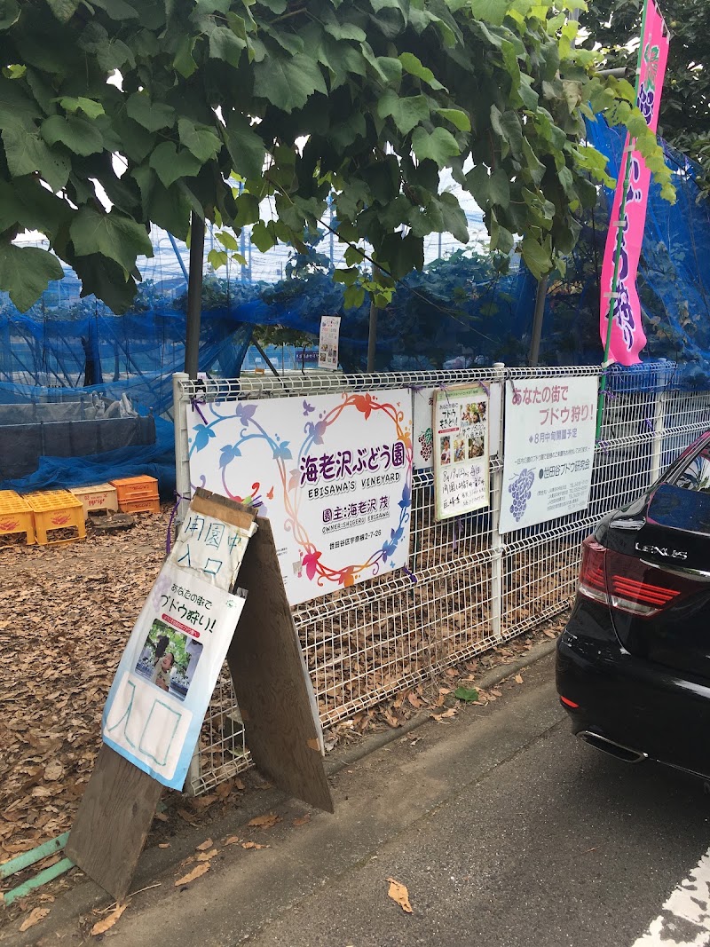 海老沢ぶどう園